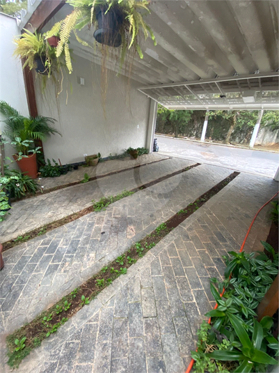Foto REO1114192