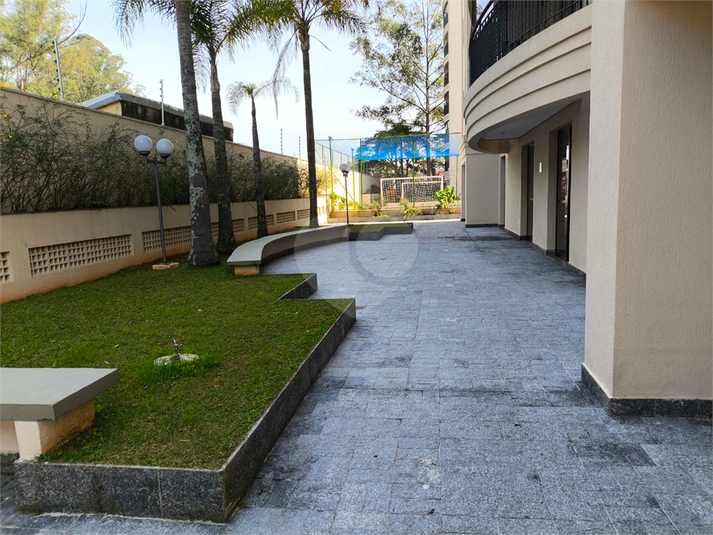 Foto REO1114202