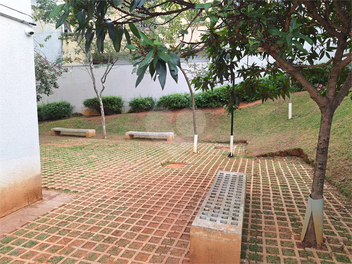 Foto REO1114212