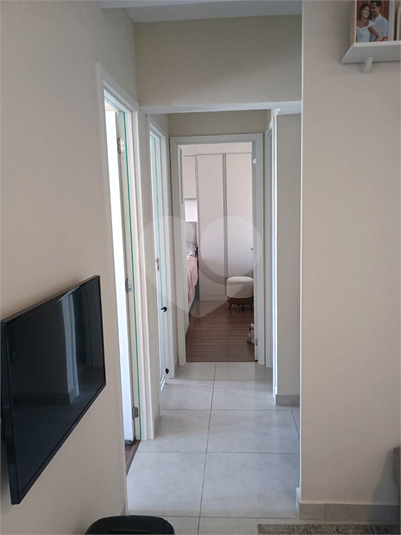Foto REO1114238