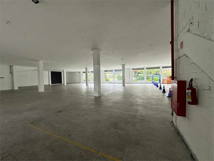 Foto REO1114249