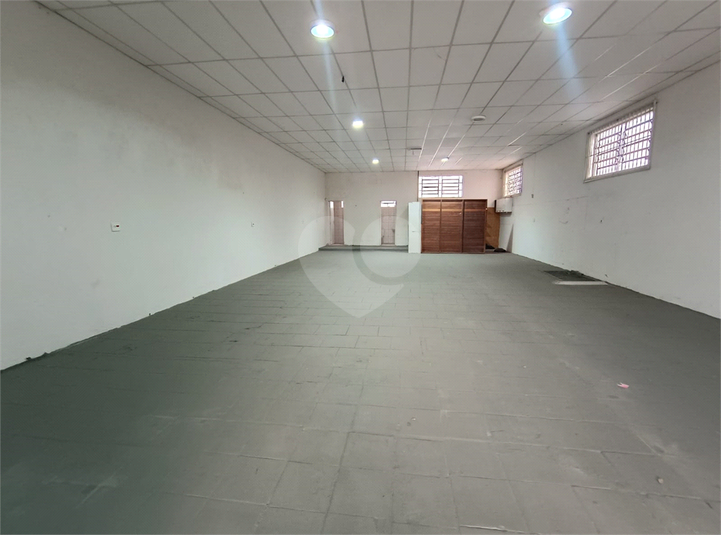 Foto REO1114258