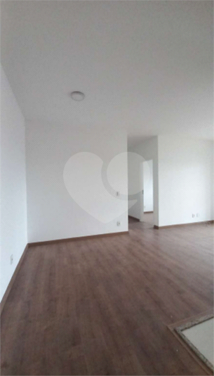 Foto REO1114262
