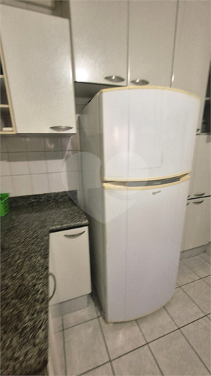 Foto REO1114265