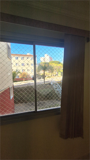 Foto REO1114265