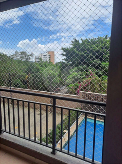 Foto REO1114266