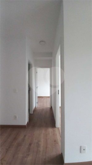 Foto REO1114267