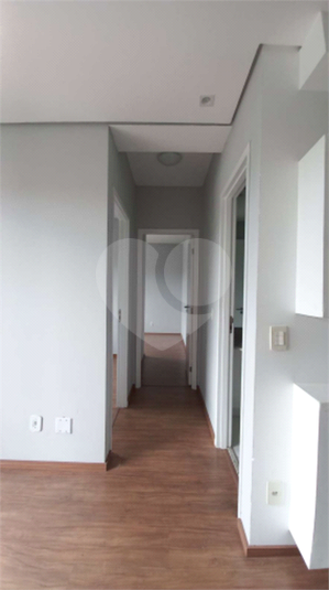 Foto REO1114270
