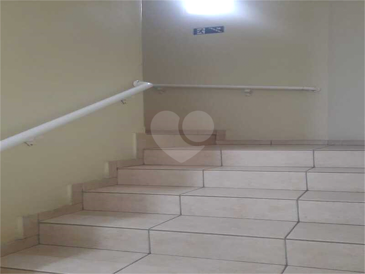 Foto REO1114272