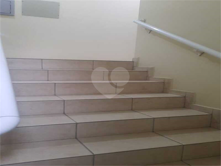 Foto REO1114272