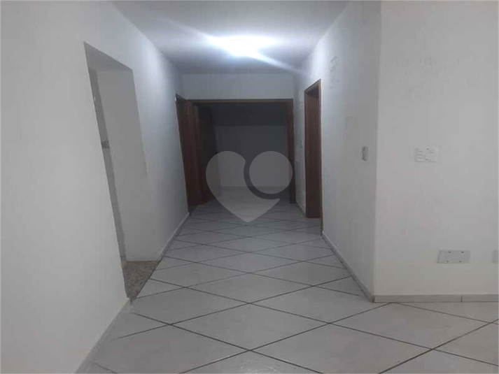 Foto REO1114272