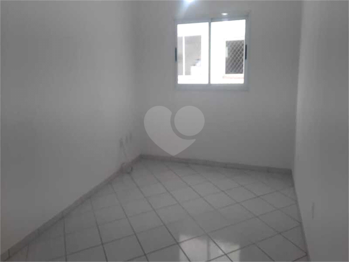 Foto REO1114272