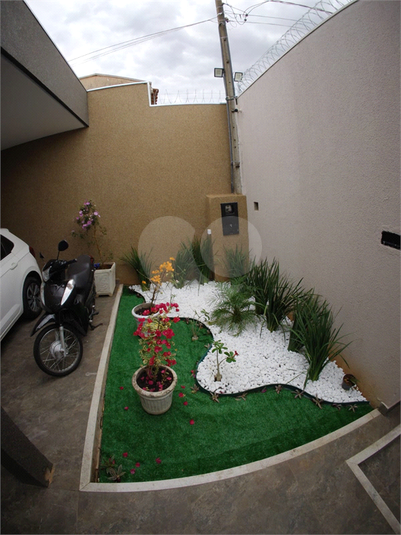 Foto REO1114273
