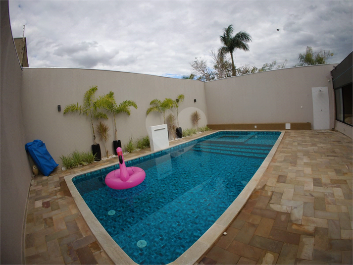 Foto REO1114273