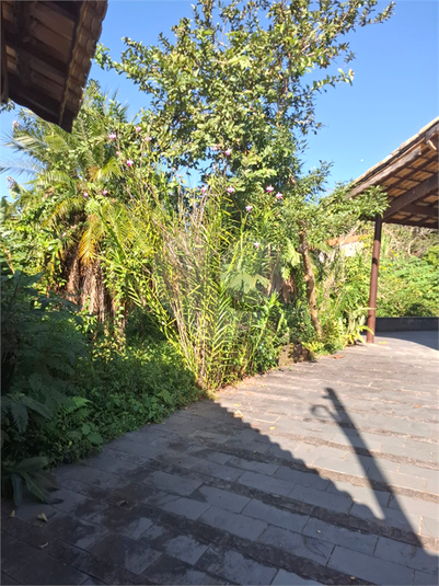 Foto REO1114275