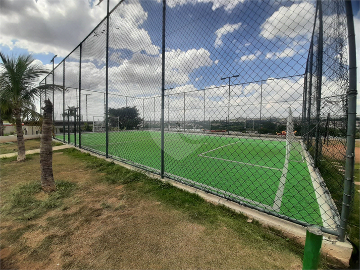 Foto REO1114276