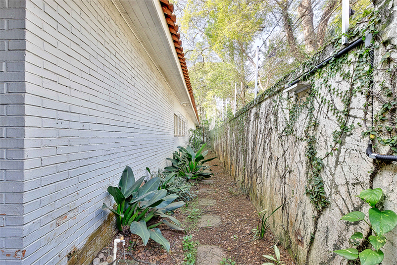 Foto REO1114277