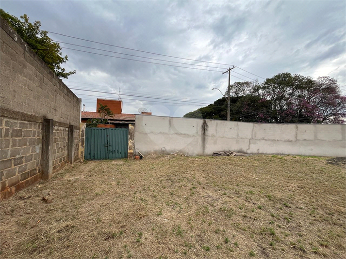 Foto REO1114279