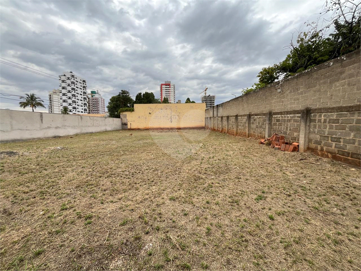 Foto REO1114279