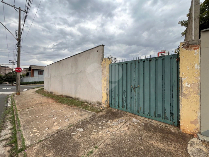 Foto REO1114279