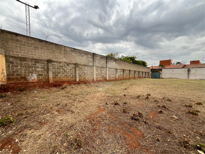 Foto REO1114279