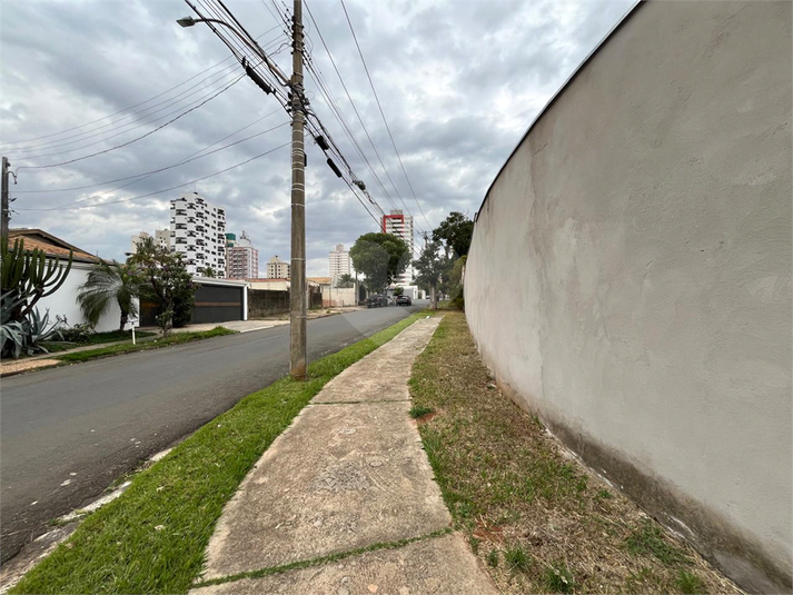 Foto REO1114279