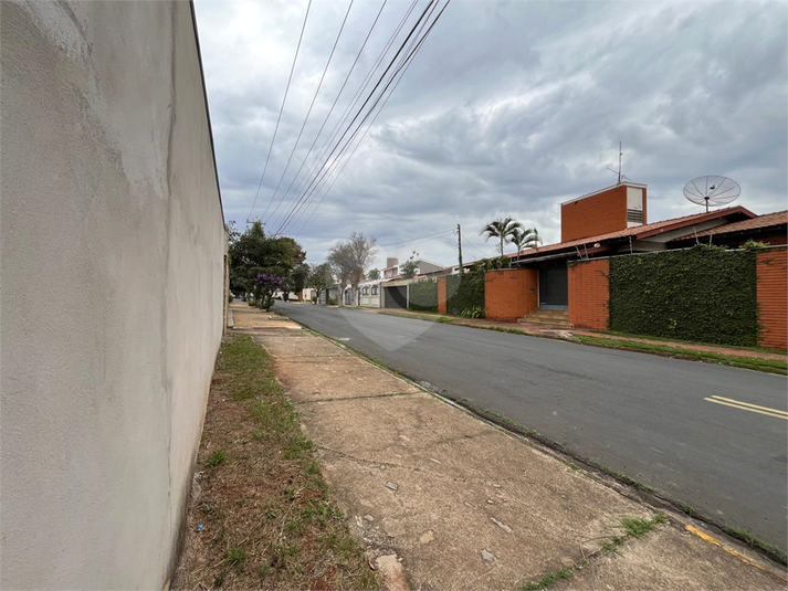 Foto REO1114279