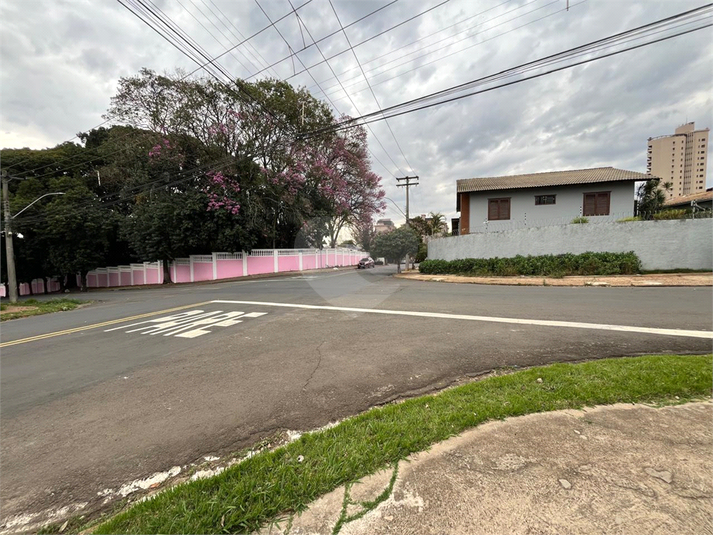 Foto REO1114279