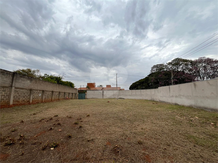 Foto REO1114279