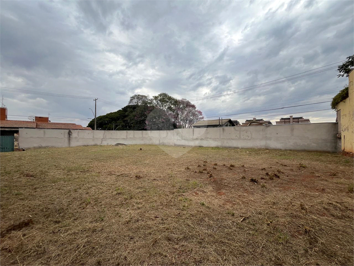 Foto REO1114279