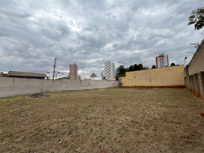 Foto REO1114279