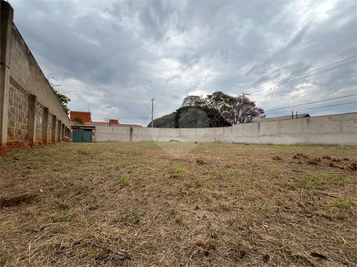 Foto REO1114279
