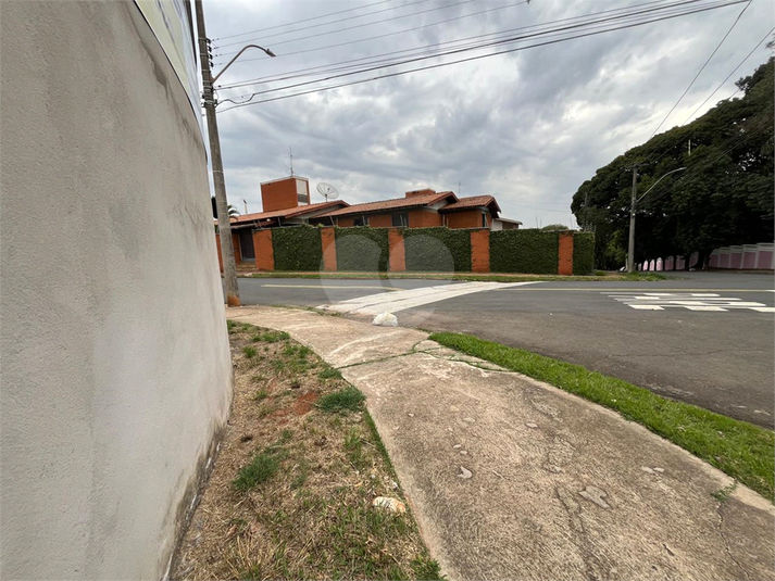 Foto REO1114279