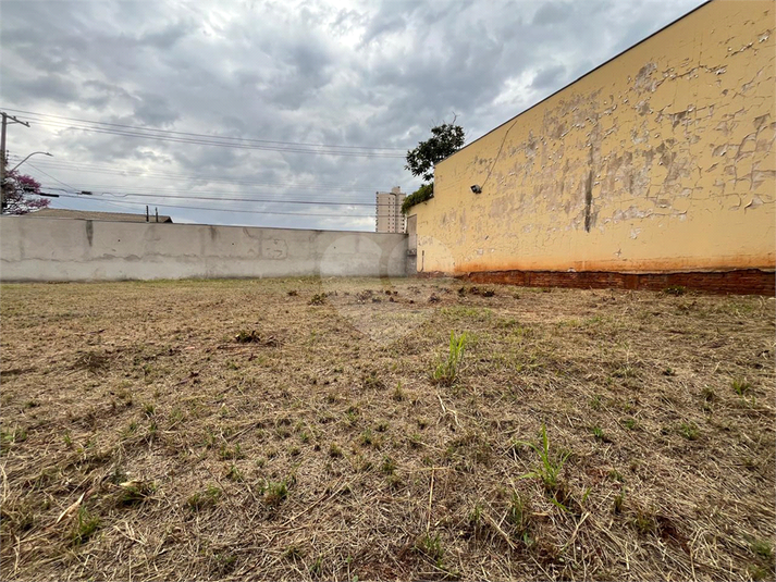 Foto REO1114279