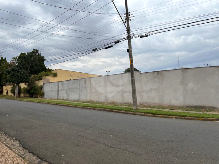 Foto REO1114279