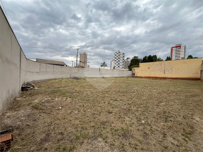 Foto REO1114279
