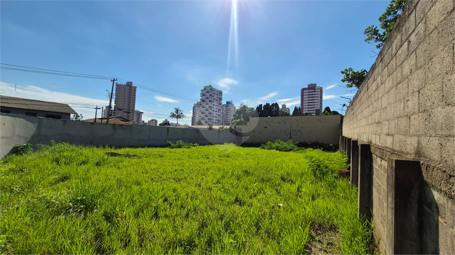Foto REO1114279