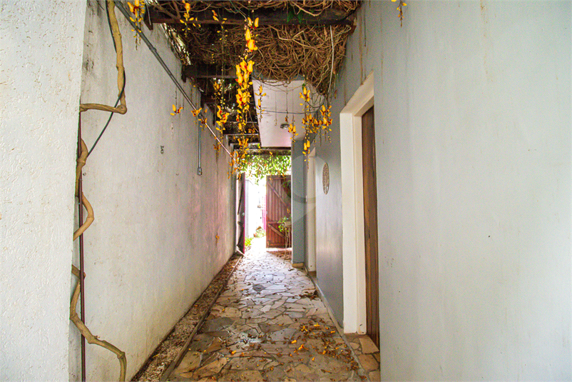 Foto REO1114285