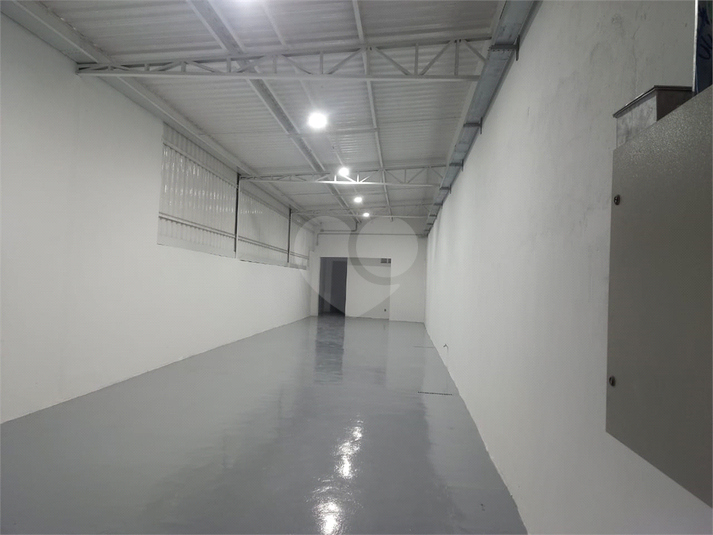Foto REO1114289
