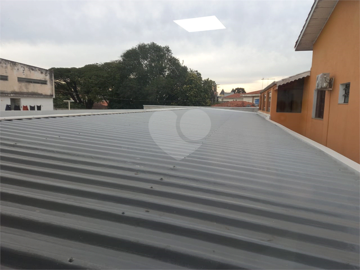 Foto REO1114289