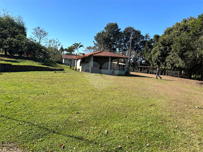 Foto REO1114290