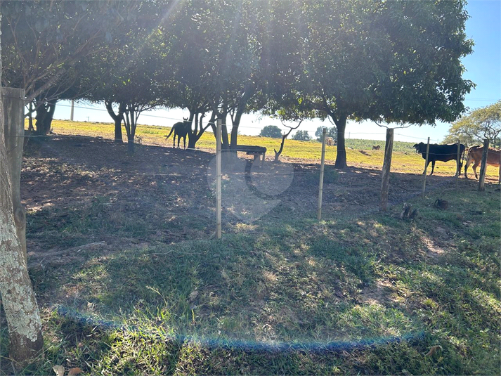 Foto REO1114290