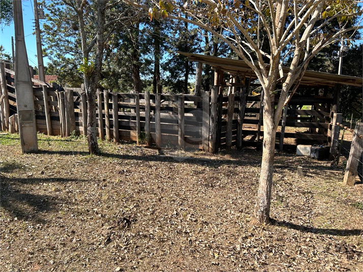 Foto REO1114290