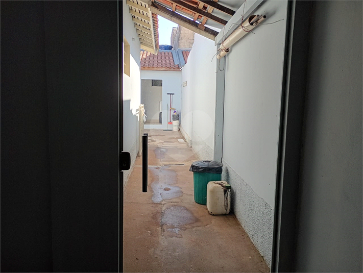 Foto REO1114295