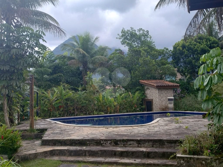 Foto REO1114296