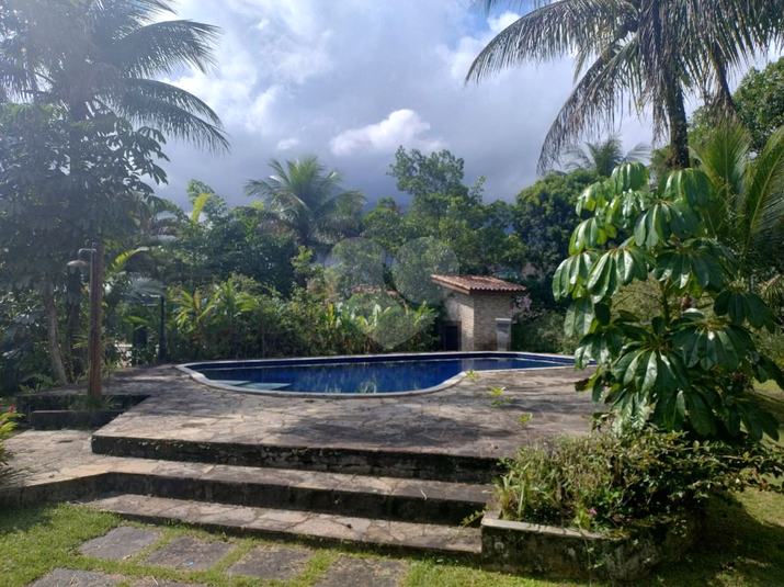 Foto REO1114296