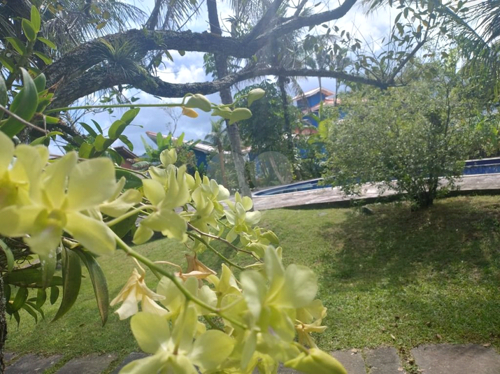 Foto REO1114296