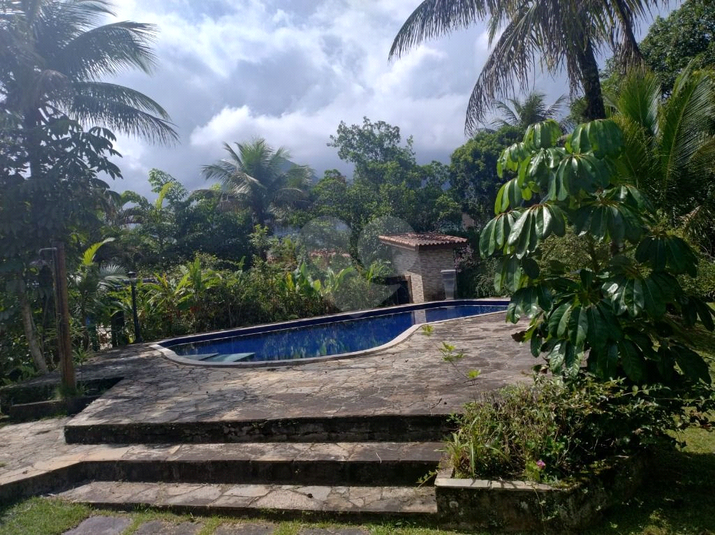 Foto REO1114296