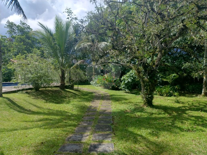 Foto REO1114296