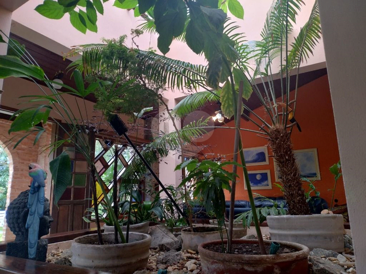 Foto REO1114296